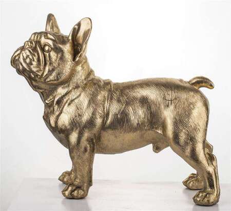 Figurka Buldog złoty H: 31 cm