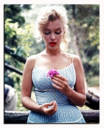 Obraz "Marilyn Monroe" reprodukcja 40x50cm